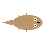 Back Leg Length: Short