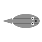 Body Colour (RGB): Grey