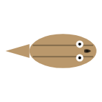 Eyes: Mid