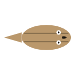 Eyes: Small