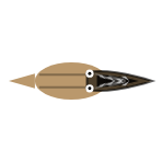 Mouth Type: Predator