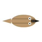 Mouth Type: Scavenger