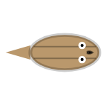 Shell Strength: Weak