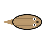 Shell Width: Mid